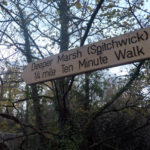 Wooden path sign