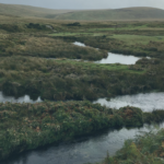 Winding river on Dartmoor