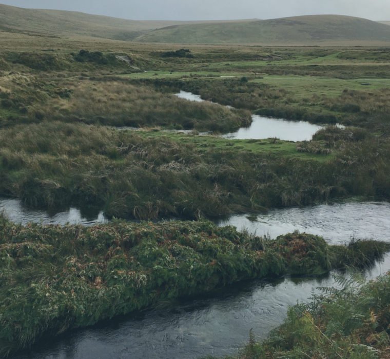 Winding river on Dartmoor
